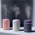 Paauwer Aroma Diffuser Roze - review test